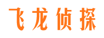 鲁山市场调查